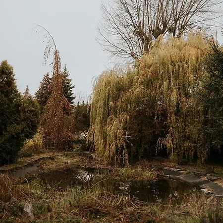 Garden * Olesnica (Lower Silesia)